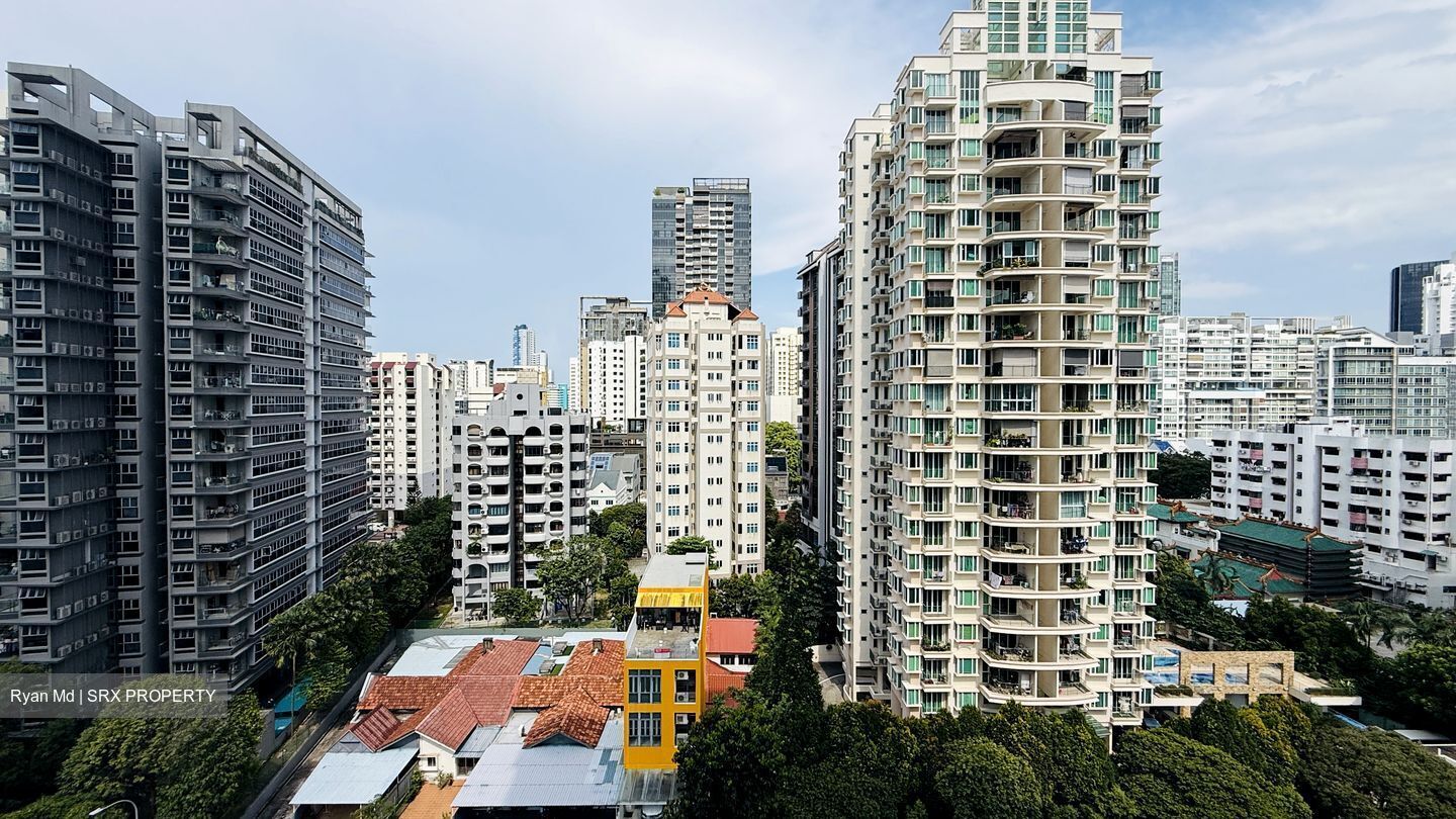 Rajah Tower (D12), Apartment #590358341